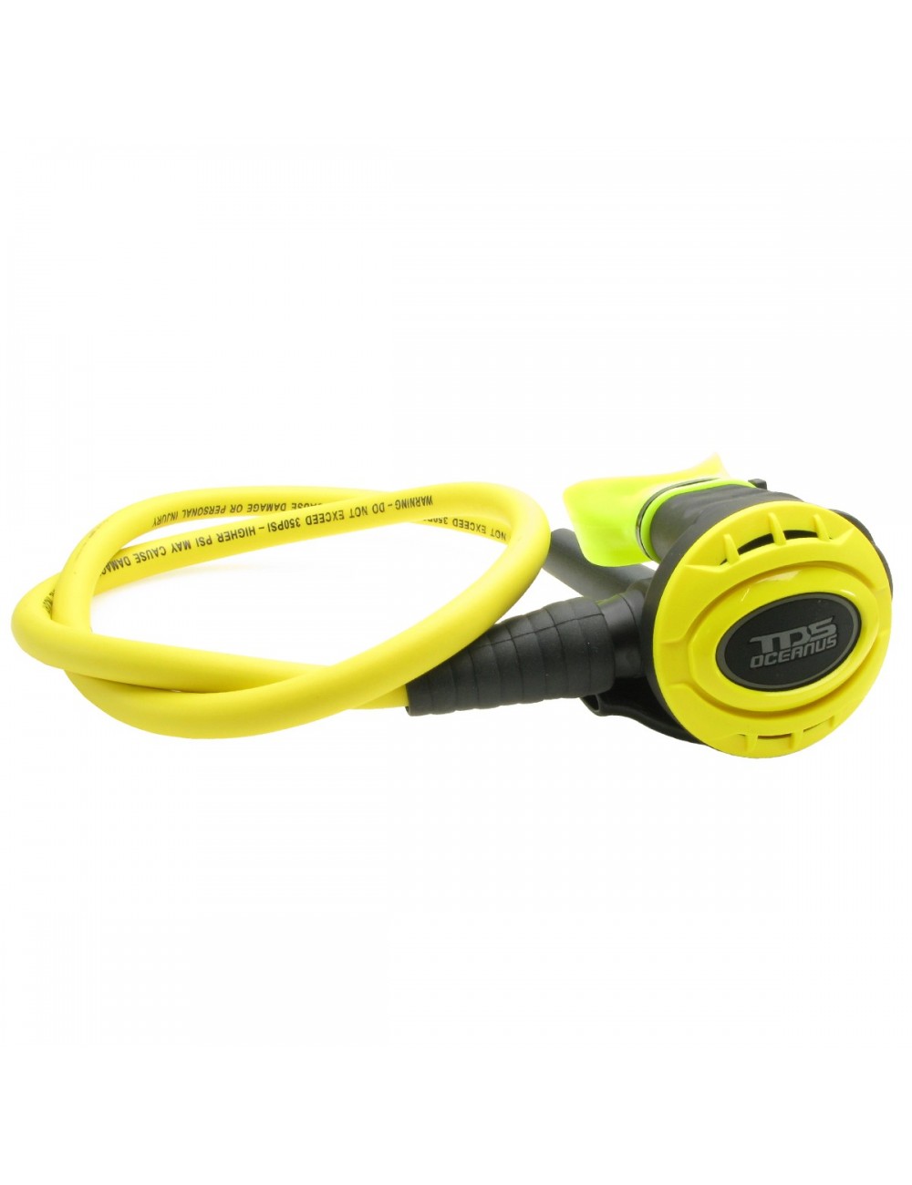 OCTOPUS OCEANUS