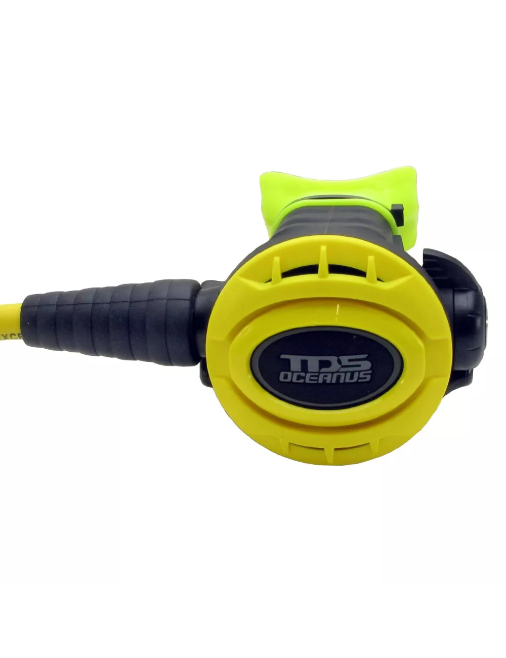 OCTOPUS OCEANUS